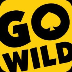 GoWild คาสิโน