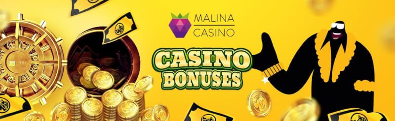 If you’re looking to benefit from an innovative new casino extra after that malina casino may be a good selection for you-logo